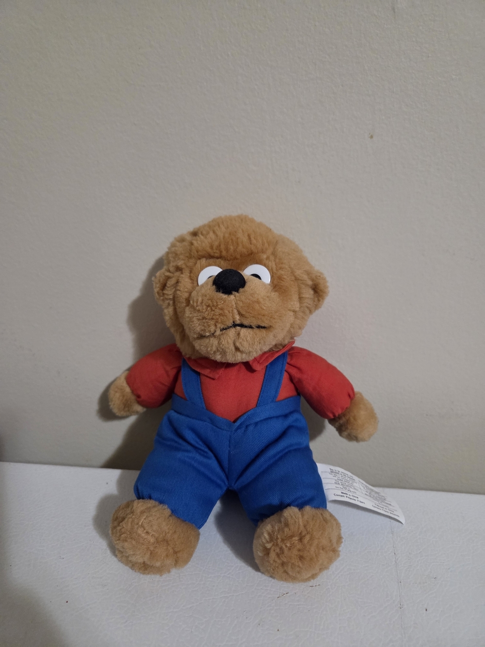 Vintage 1994 Berenstain Bears Brother Bear 9” Plush Toy
